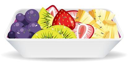 Detail Salad Buah Vector Nomer 21