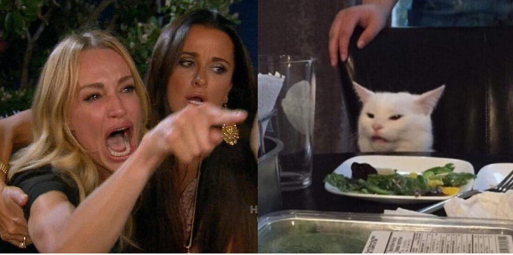 Salad Cat Meme Generator - KibrisPDR