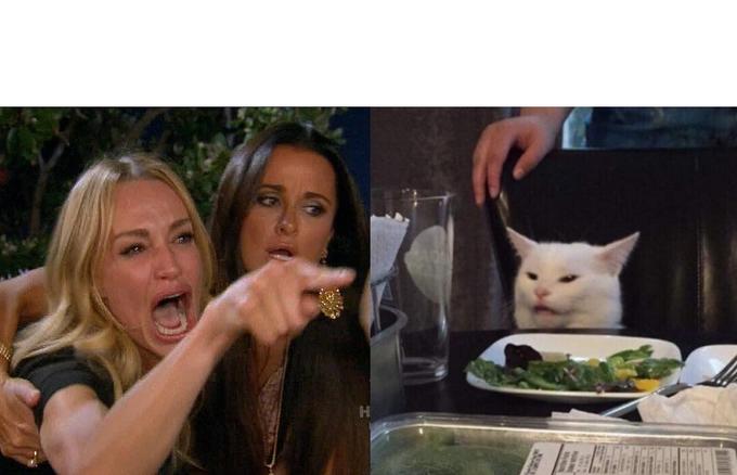 Detail Salad Cat Meme Generator Nomer 3