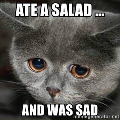 Detail Salad Cat Meme Generator Nomer 20