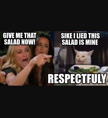 Detail Salad Cat Meme Generator Nomer 26