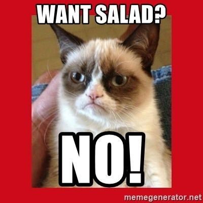 Detail Salad Cat Meme Generator Nomer 28