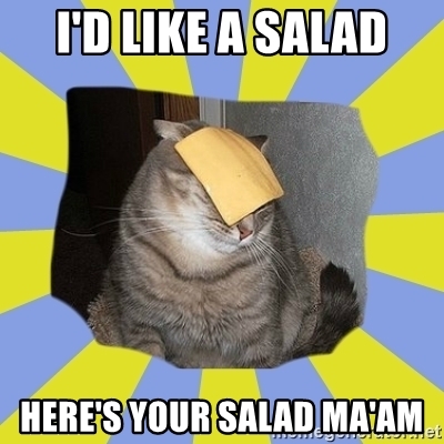 Detail Salad Cat Meme Generator Nomer 32
