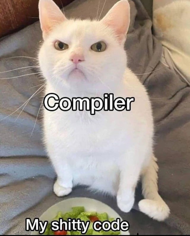 Detail Salad Cat Meme Generator Nomer 40