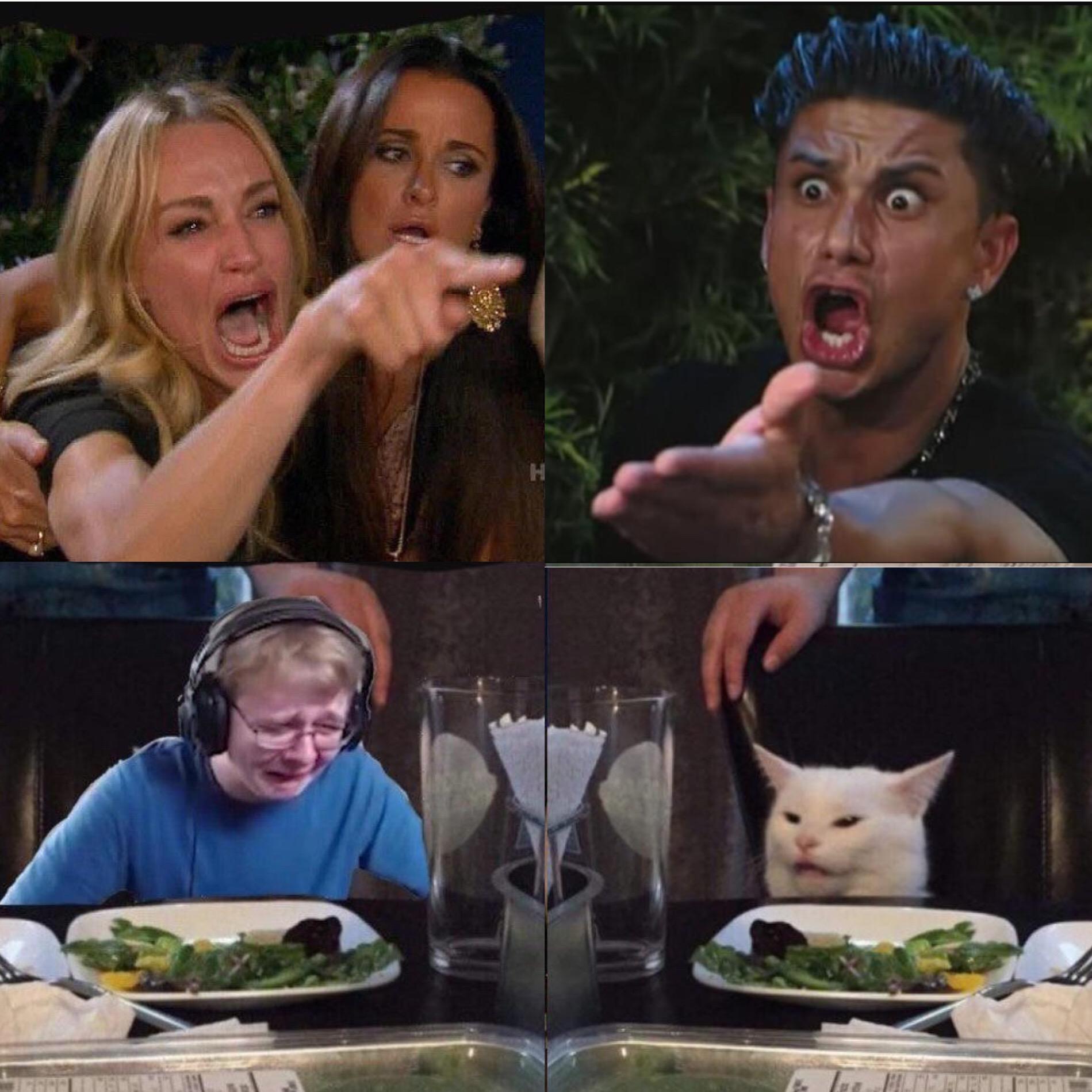 Detail Salad Cat Meme Generator Nomer 9