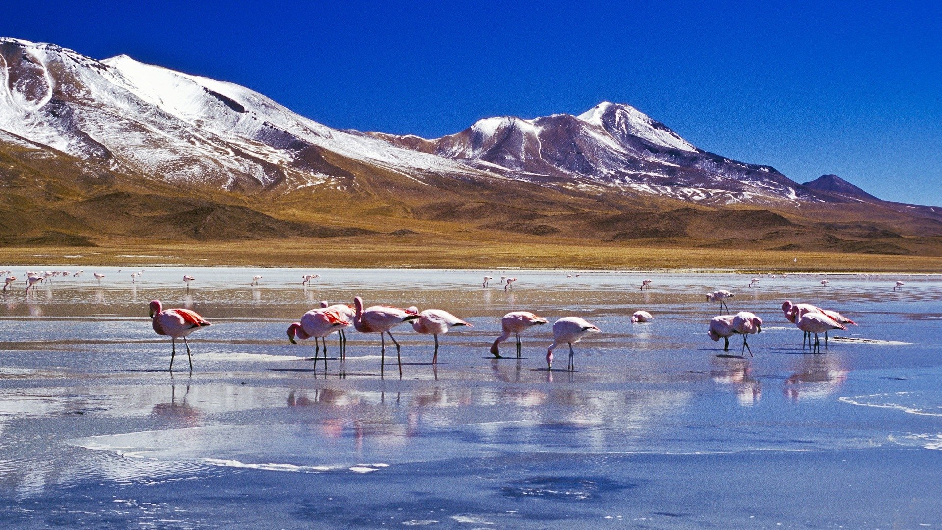 Detail Salar De Uyuni Wallpaper Nomer 25