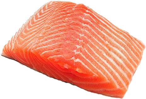 Detail Salmon Fish Png Nomer 29