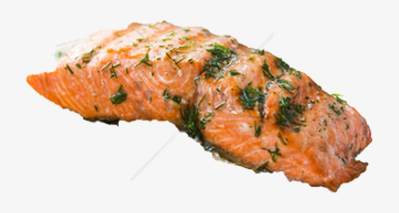 Detail Salmon Fish Png Nomer 39