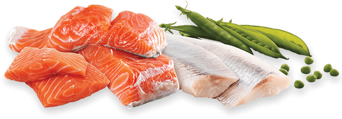 Detail Salmon Fish Png Nomer 56