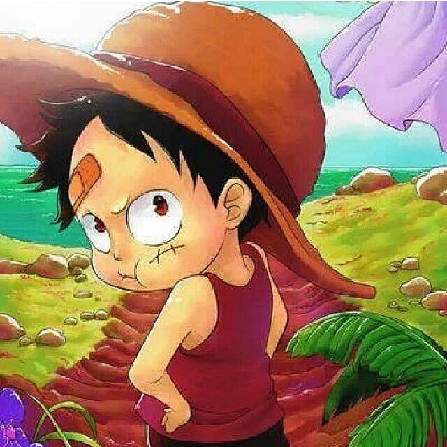 Detail Wallpaper Luffy Kecil Lucu Nomer 43