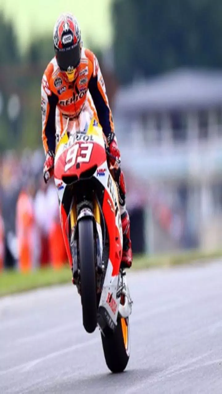 Detail Wallpaper Marc Marquez 2016 Nomer 31