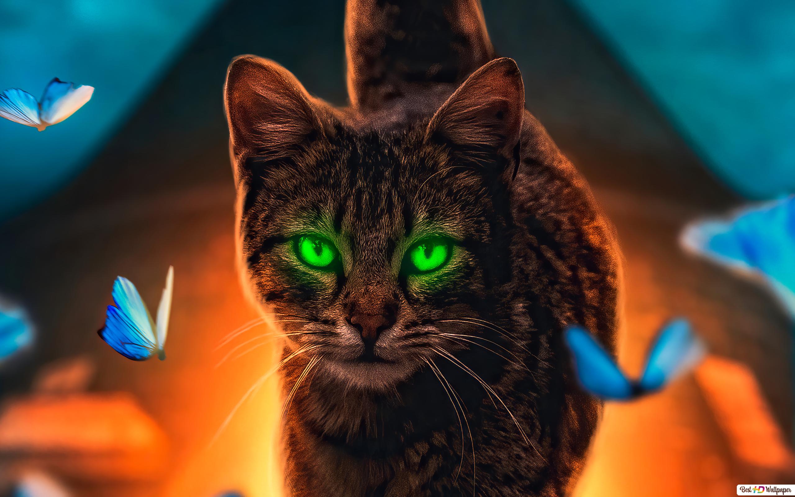 Detail Wallpaper Mata Kucing Full Hd Nomer 18