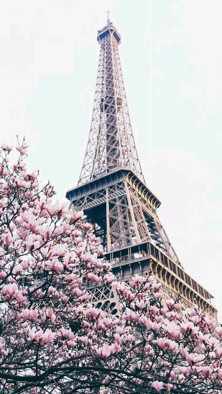 Detail Wallpaper Menara Eiffel Paris Nomer 40