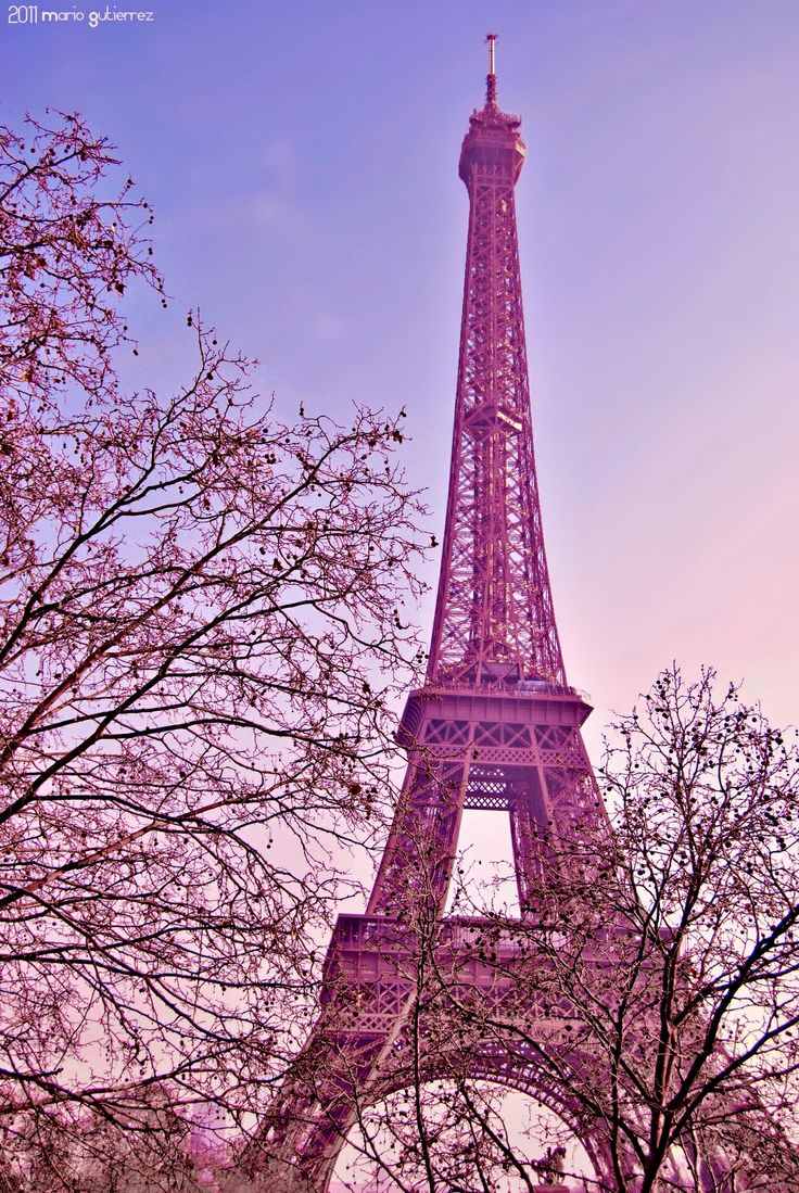 Detail Wallpaper Menara Eiffel Pink Nomer 11