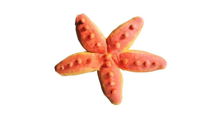 Detail Salt Dough Starfish Nomer 19