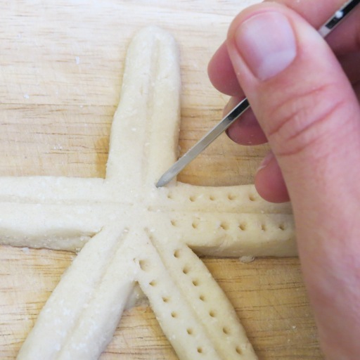 Detail Salt Dough Starfish Nomer 47