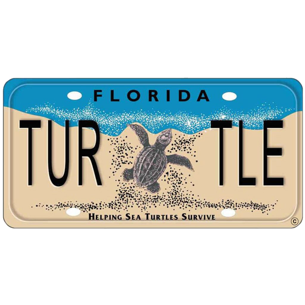 Detail Salt Life Turtle License Plate Nomer 52