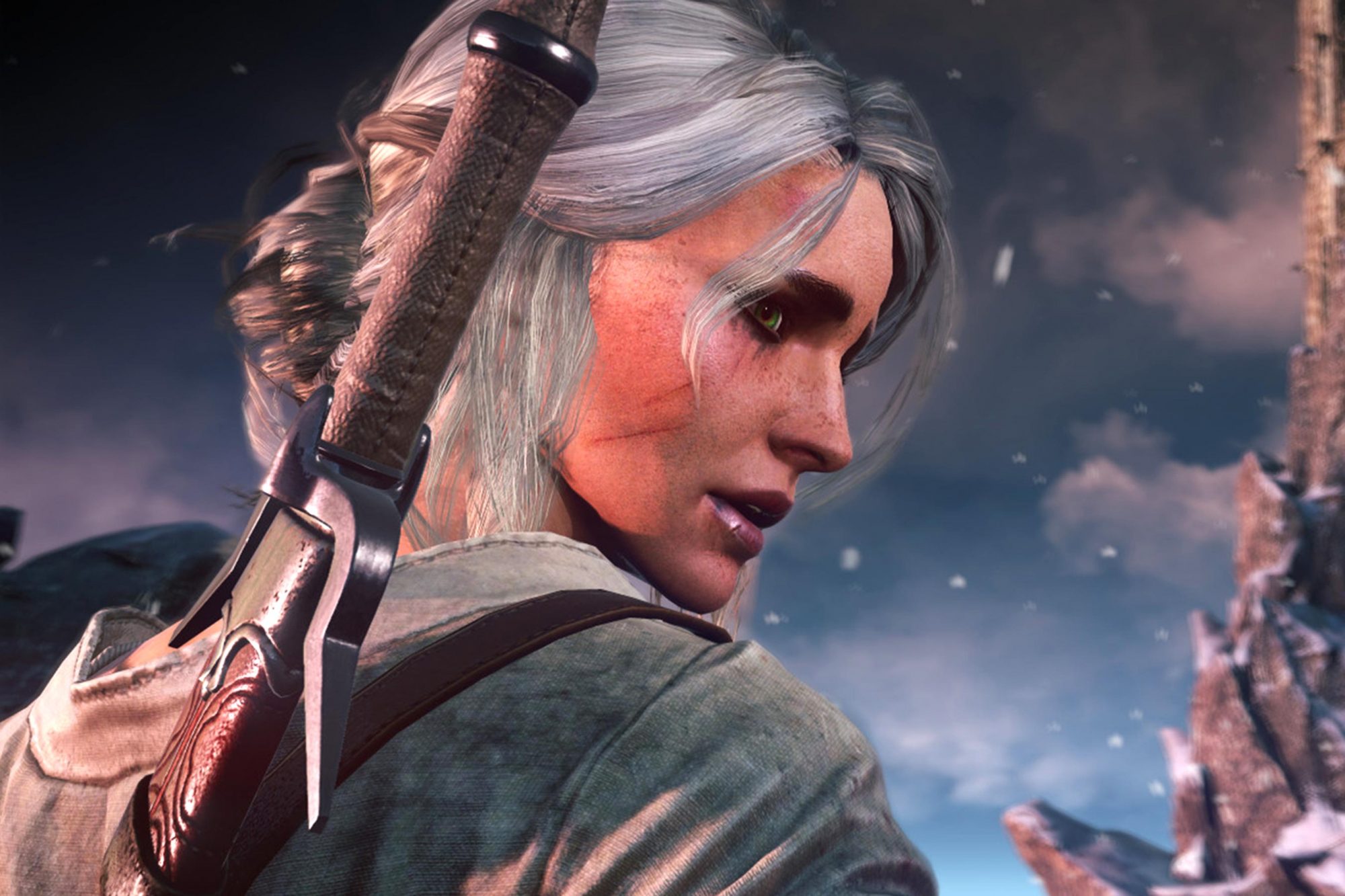 Detail Salt Pepper Witcher 3 Nomer 18