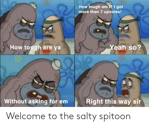 Detail Salty Spitoon Meme Nomer 37