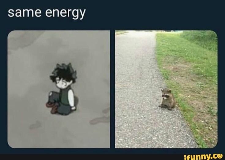 Detail Same Energy Meme Nomer 21