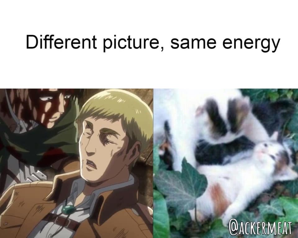 Detail Same Energy Meme Nomer 33