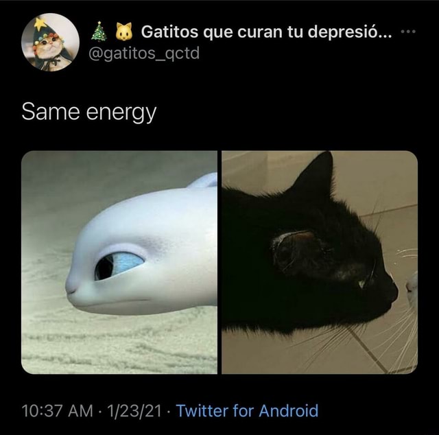 Detail Same Energy Meme Nomer 47