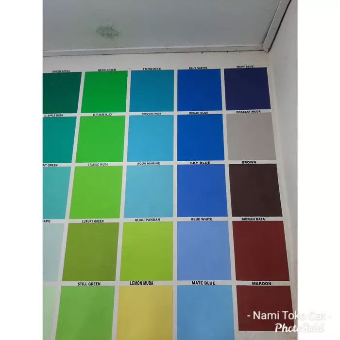 Detail Sampel Cat Rumah Nomer 33