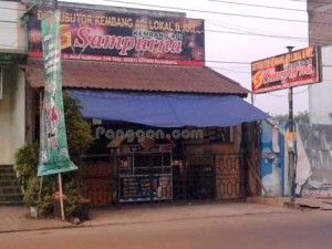 Detail Sampurna Foto Purwokerto Nomer 12