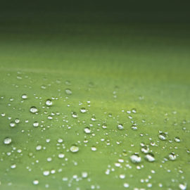 Detail Samsung Galaxy S3 Wallpaper Nomer 15