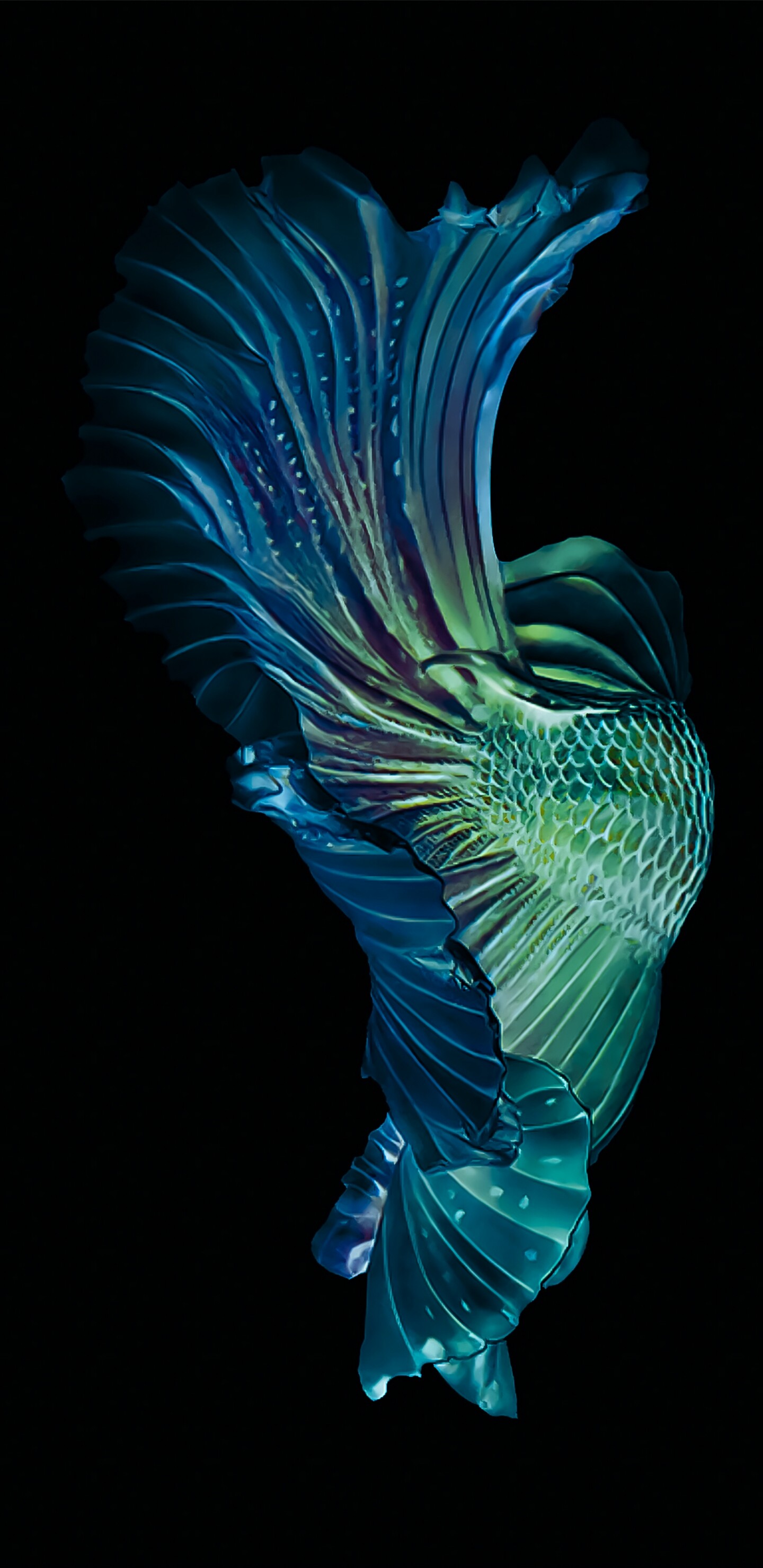 Detail Samsung S10 Wallpaper Nomer 15