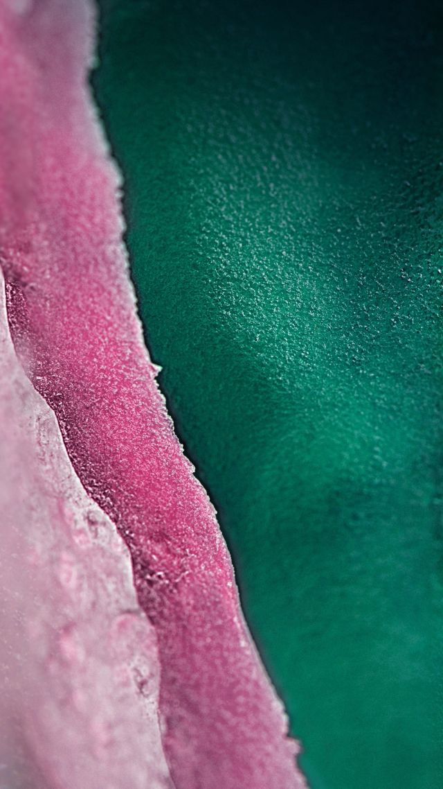 Detail Samsung S10 Wallpaper Nomer 39
