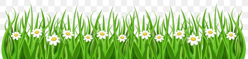 Detail Wallpaper Microsoft Powerpoint Nomer 51
