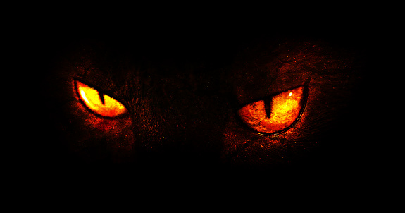 Detail Wallpaper Monster Keren Nomer 35