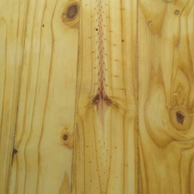 Detail Wallpaper Motif Kayu Pinus Nomer 52