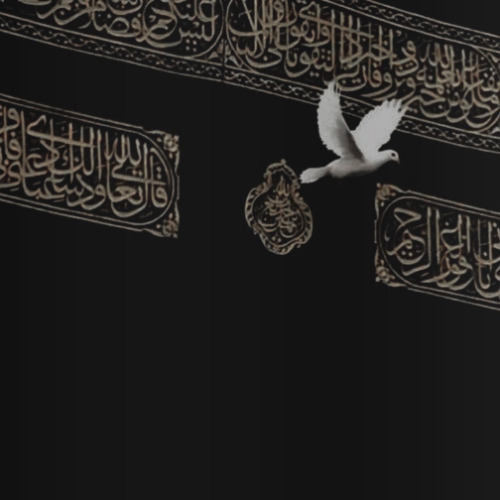 Detail Wallpaper Muslimah Aesthetic Nomer 54