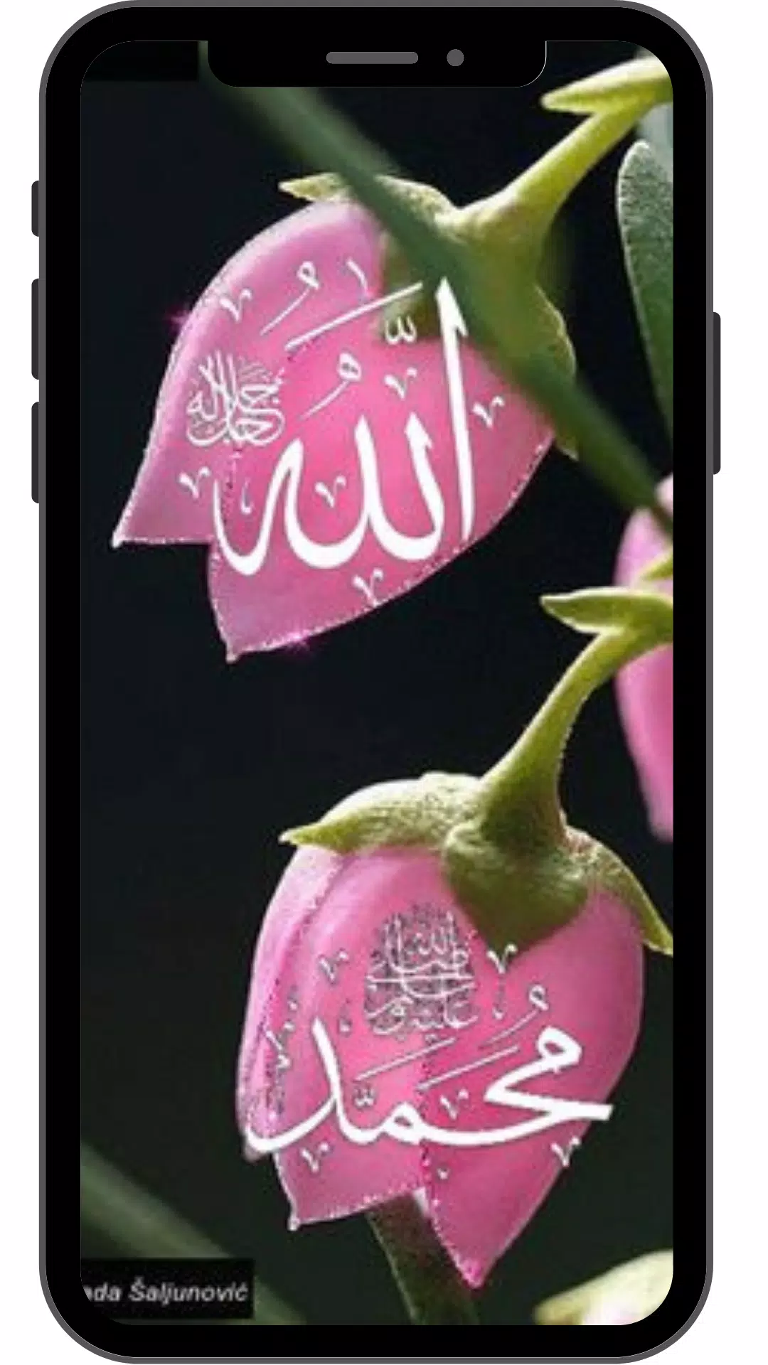 Detail Wallpaper Nabi Muhammad Nomer 58