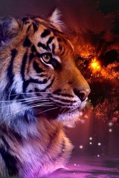 Detail Wallpaper Naga Vs Harimau Nomer 56