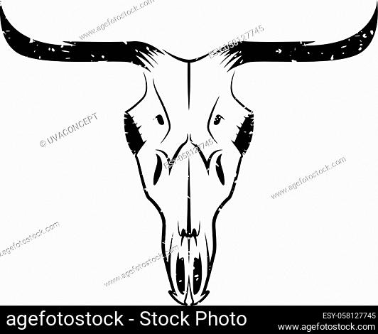 Detail Aurochs Skull Nomer 15