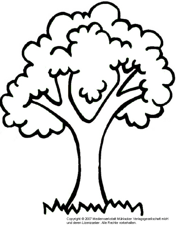 Detail Baum Vorlage Zum Ausdrucken Kostenlos Nomer 17