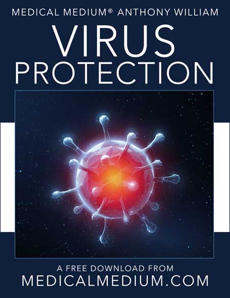 Detail Download A Virus For Free Nomer 54