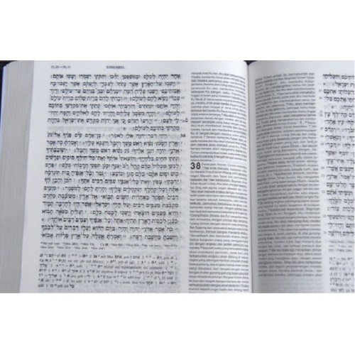 Detail Download Alkitab Bahasa Ibrani Nomer 6