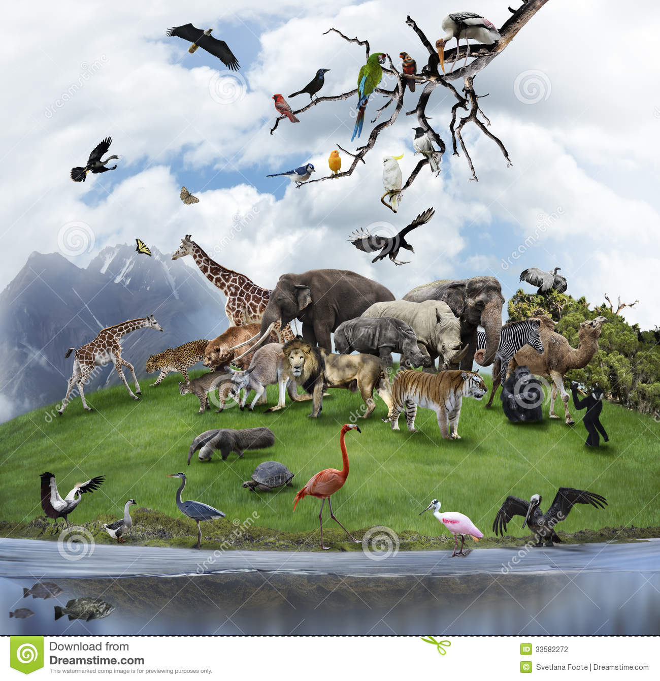 Detail Download Animals Nomer 18