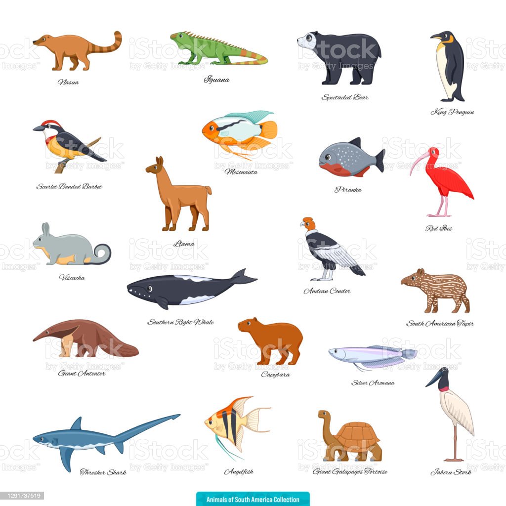 Detail Download Animals Nomer 26