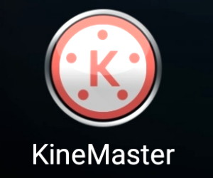 Detail Download Animasi Kinemaster Nomer 18