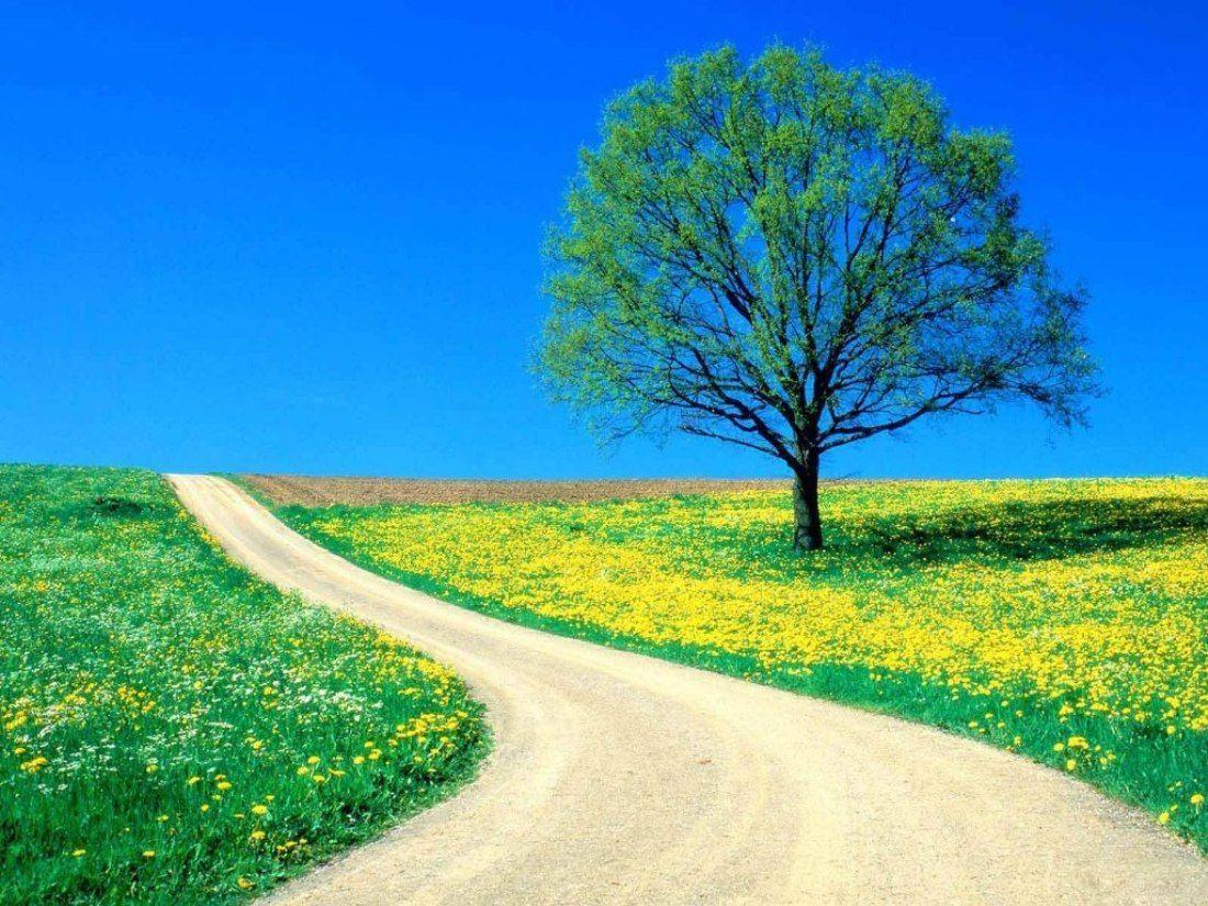 Detail Download Background Desktop Nomer 45