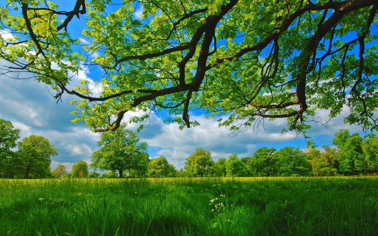 Detail Download Background Desktop Nomer 49