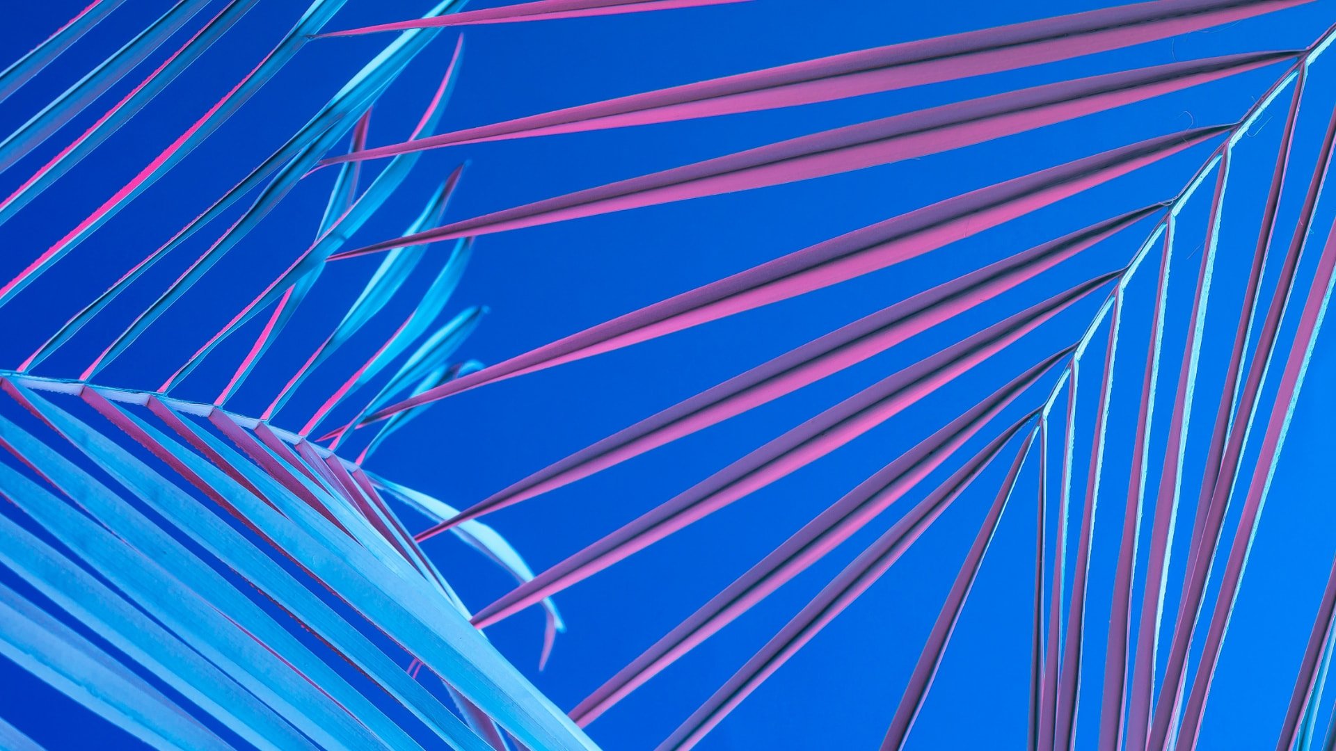 Detail Download Background Desktop Nomer 50