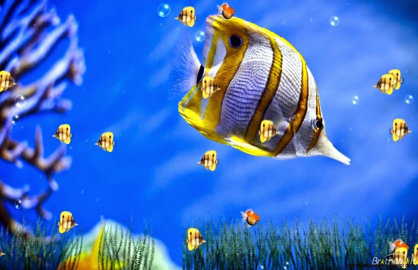 Detail Download Background Komputer Nomer 24