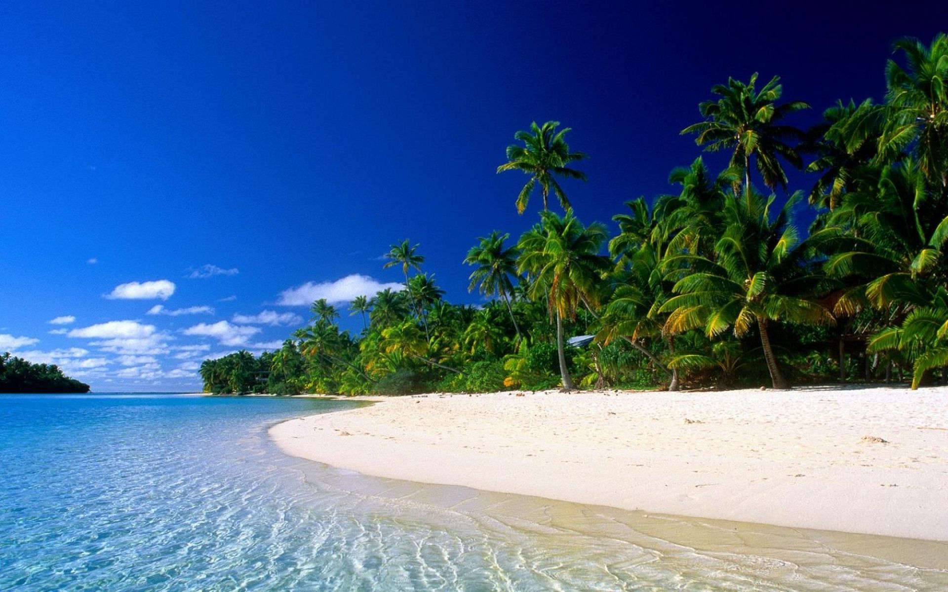 Detail Download Background Komputer Nomer 42