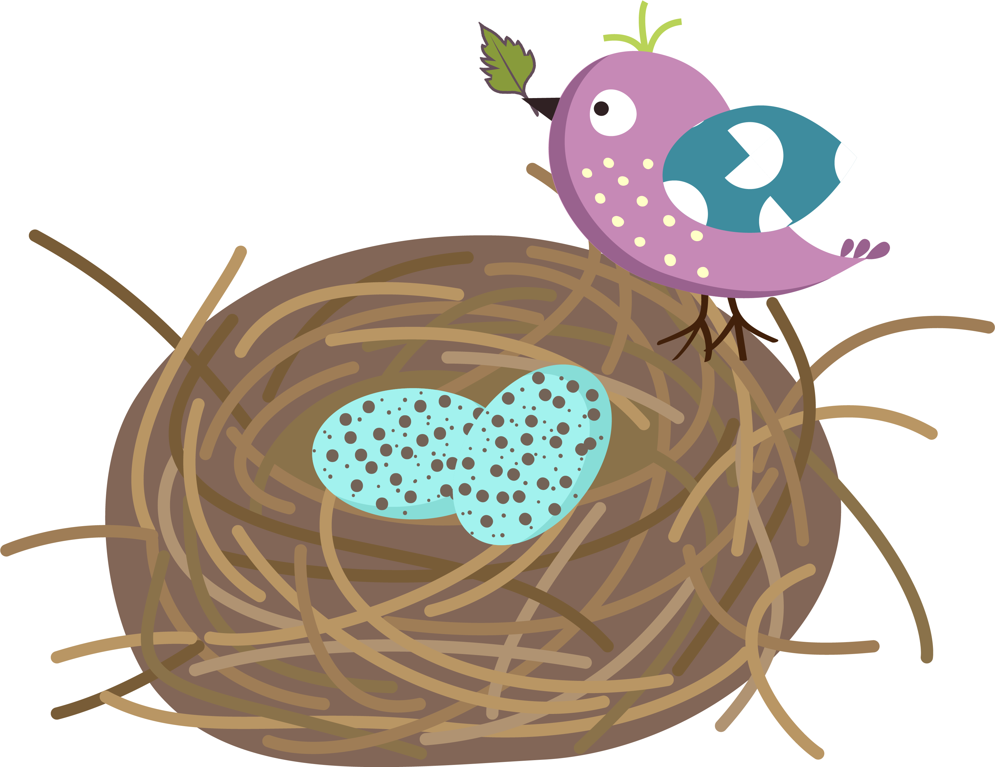 Detail Eier Im Vogelnest Nomer 10